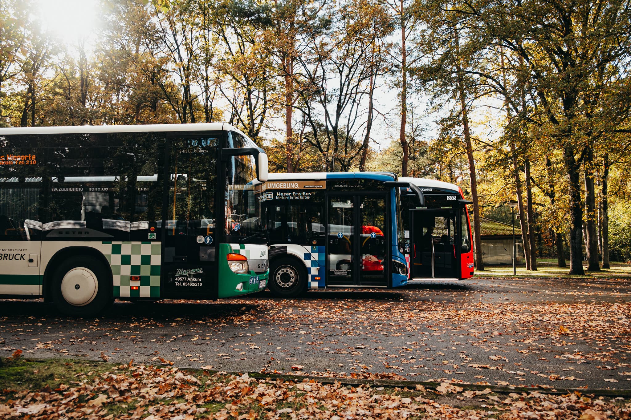 Linienbus auf einer Landstraße zwischen herbstlichen Bäumen